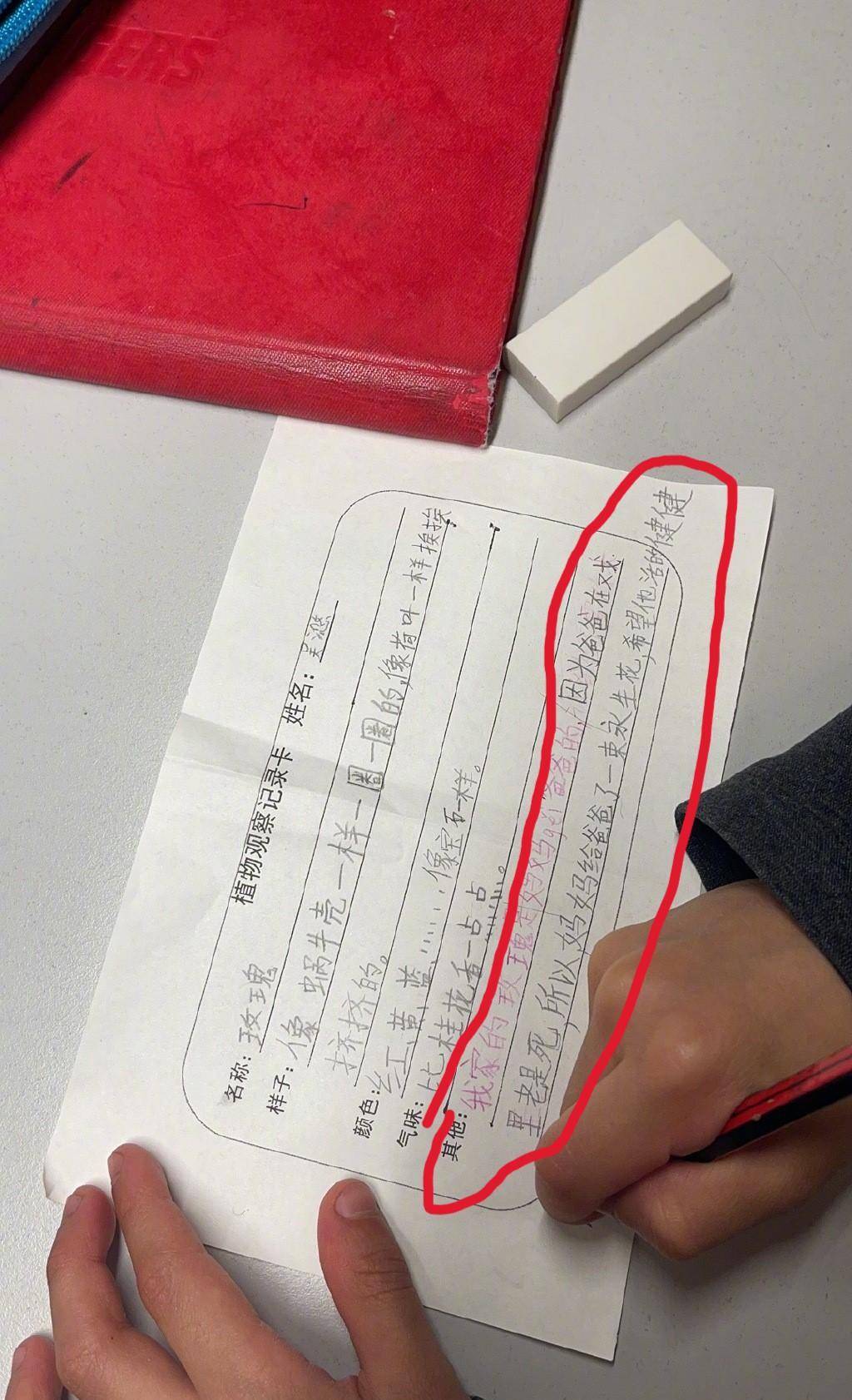 小八卦:秦岚的腹肌,谢楠送吴京玫瑰的原因,李宏毅直播状态_爸爸_粉色