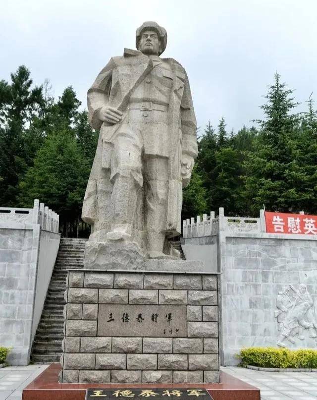 泰山功勋将军图片