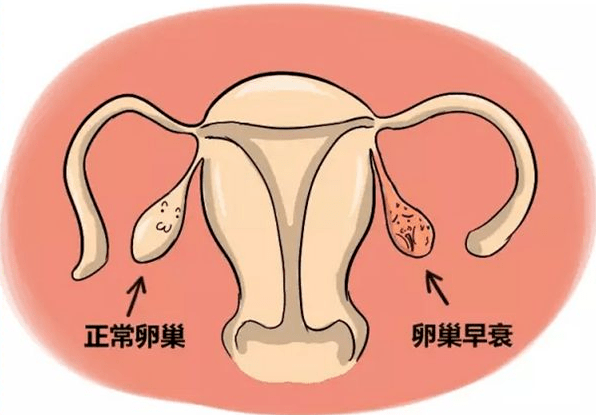 子宫内膜厚9mm正常吗 子宫厚度受什么影响