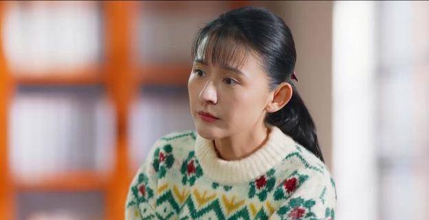 何雪阳_叶飞_剧情