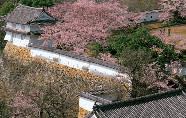 日本建筑集成》：九卷镇宅典藏！一套讲透经典日式建筑精粹_手机搜狐网