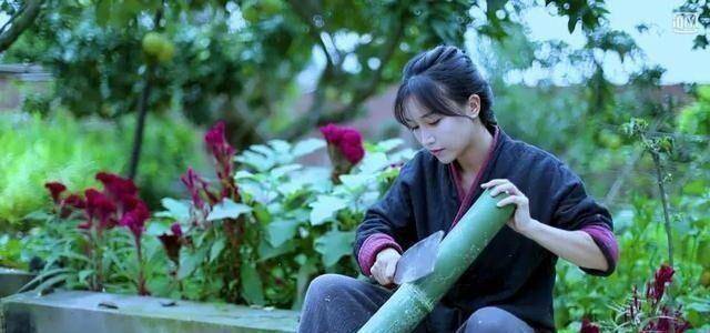 1条视频耗时一整年,李子柒心血凝集,这样的作品你认为值得吗?