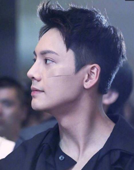 陈伟霆侧脸比正脸帅,霍建华睫毛长到犯规,杨洋侧脸迷倒万千少女_胡歌