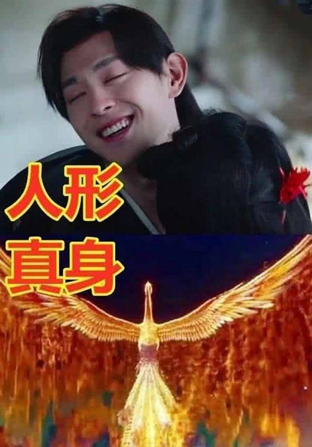 影视剧中的魔尊真身,旭凤红色凤凰,重楼黑色大鸟,最后一个蒙了!
