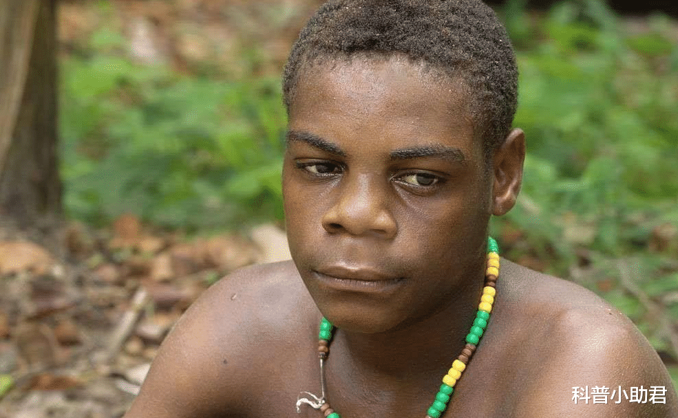 八九岁就可以正常生育,被世人遗忘的种族,俾格米人有多奇怪_进行_人类