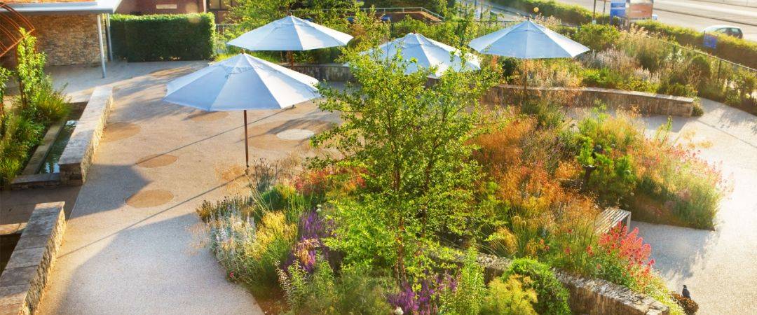 康养疗愈 医院植物景观设计意义非凡_花园_康复_建筑