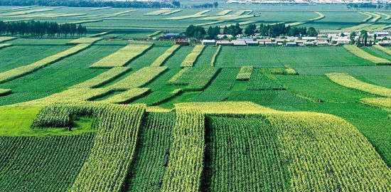 假如那里仍属于我们,你愿意去定居吗?_黑龙江_一带_平原