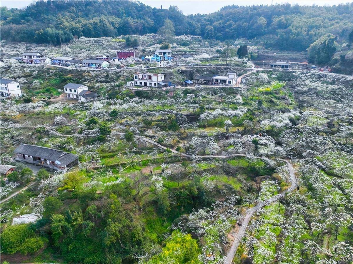 大足安岳春风桃李旅游文化节开幕,携手促进大安融合发展_活动_美乡村