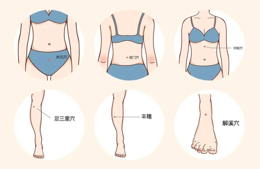 济南曲姿瘦身 | 春季减肥黄金期_身体_功能_脾胃