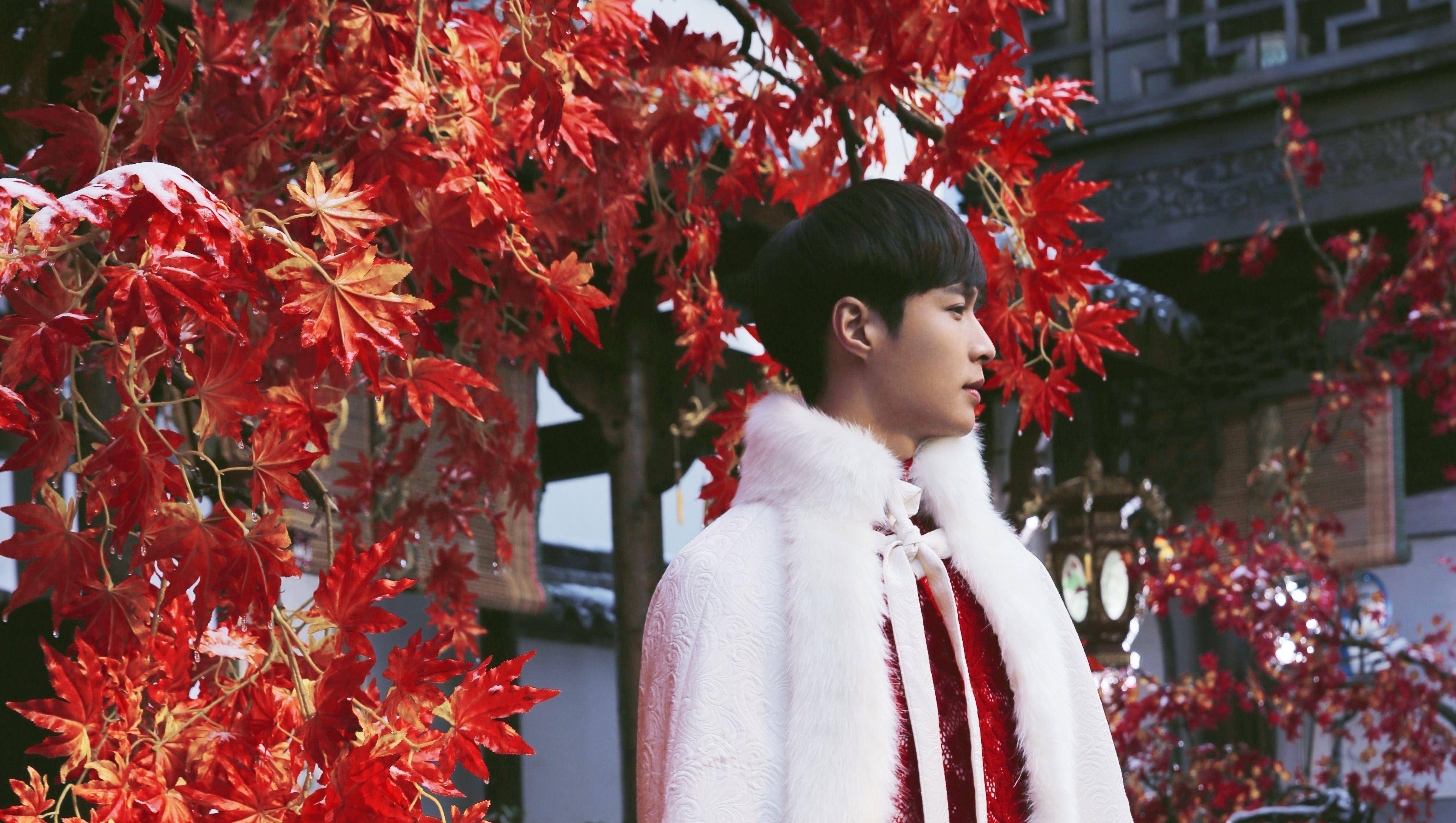 电视剧《老九门》张艺兴/二月红井柏然在本片中饰演备受关注的张起灵