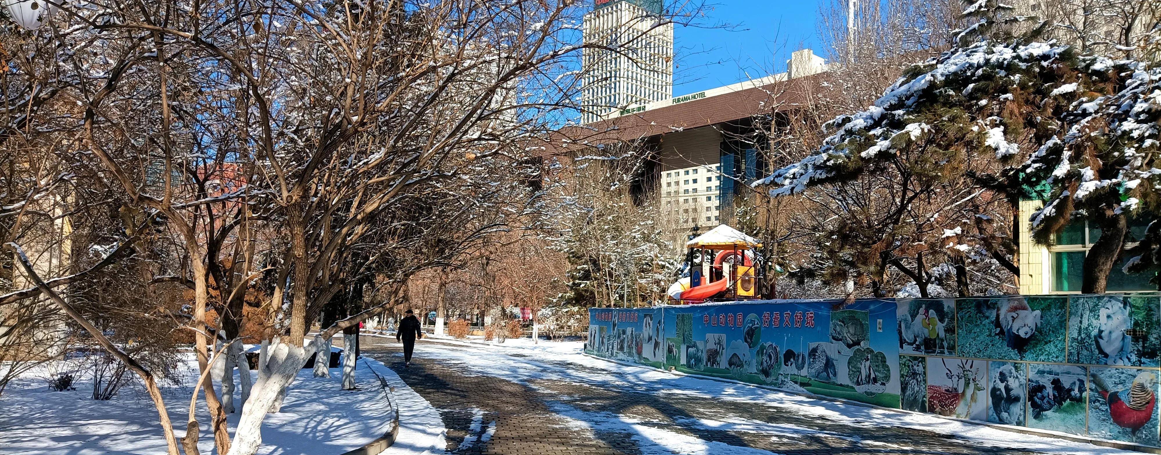 沈阳中山公园平面图图片