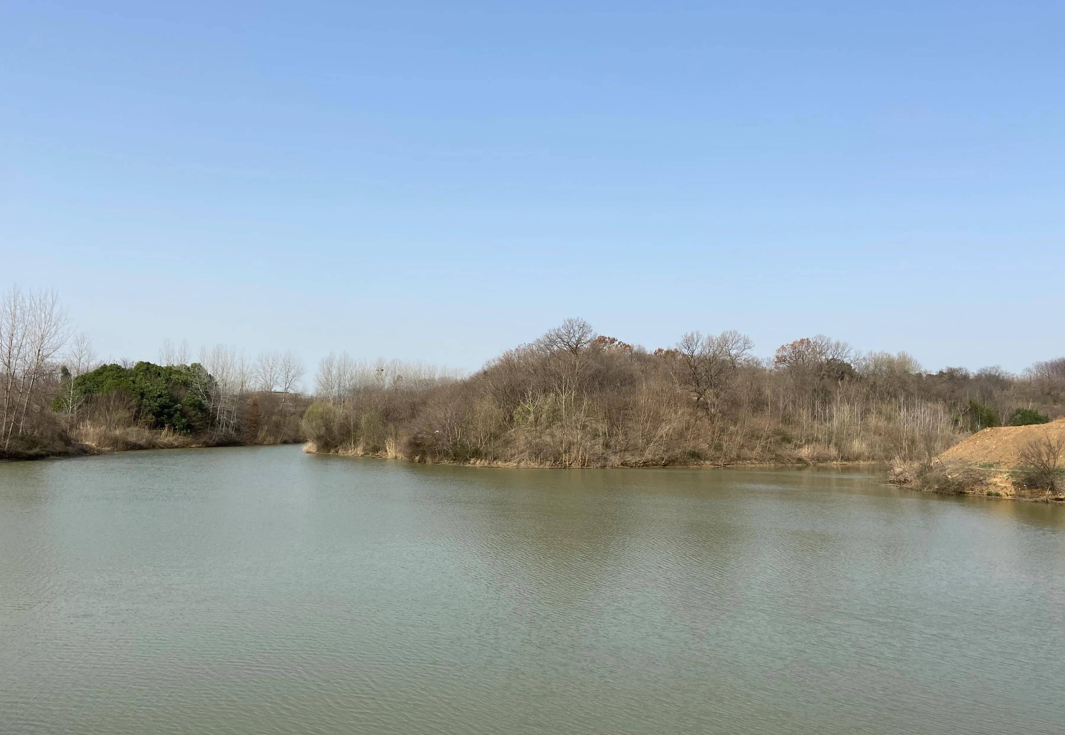 仪征籍文化学者盛成教授墓地就在公园里,墓地选址背山面水,左倚右靠.