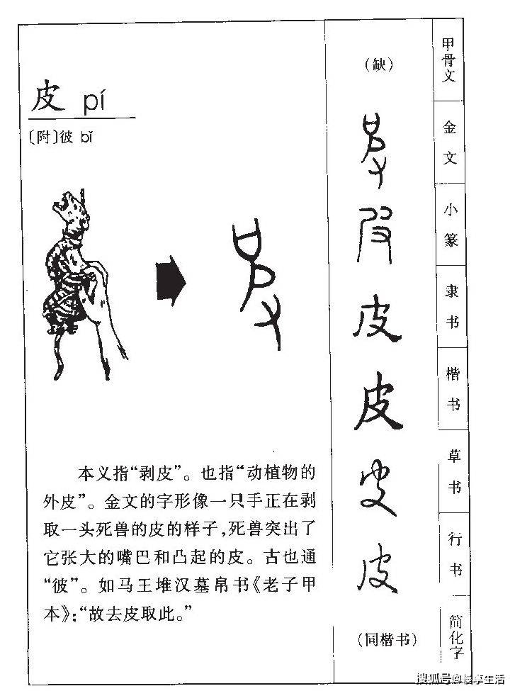皮卞齐康——字源里的百家姓丨文兴书舍_卞字_康字_皮字