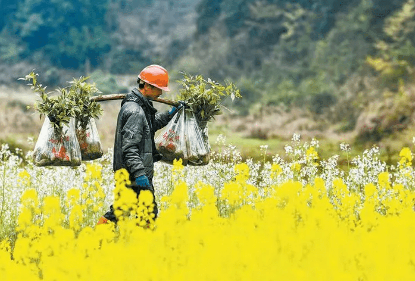 硬核推荐（关于思乡的古诗）关于思乡的古诗五言诗4句大全集 第23张