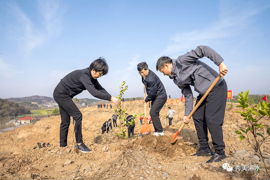 付宇等浠水县领导参加义务植树活动_油茶_全县_劳动