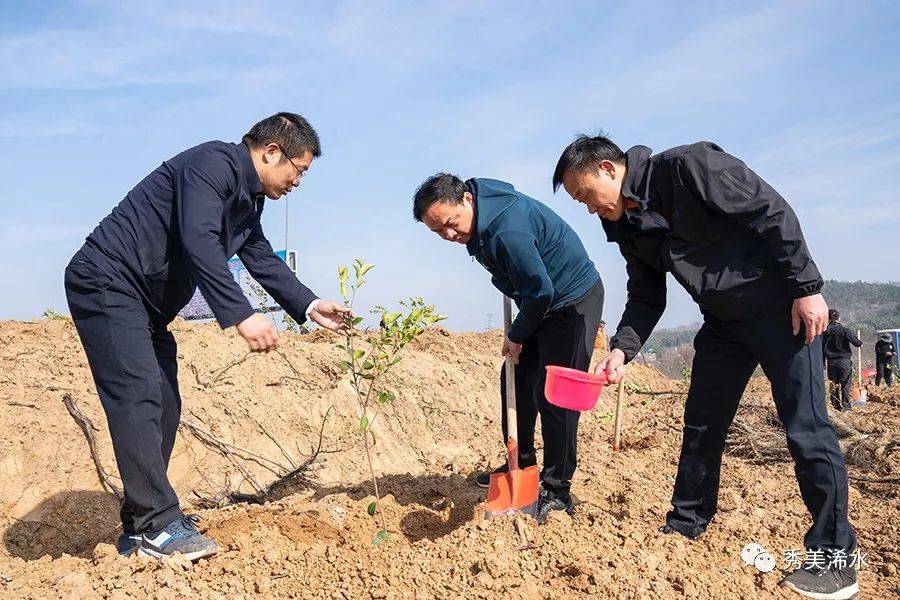 付宇等浠水县领导参加义务植树活动_油茶_全县_劳动