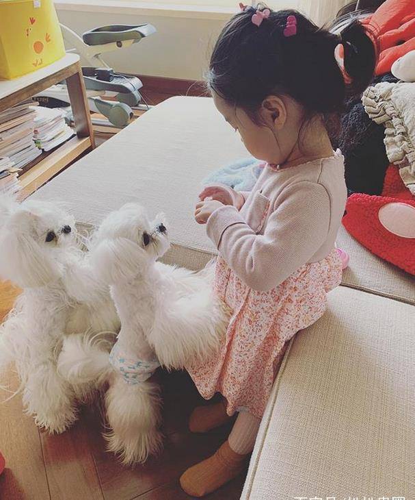 陈赫晒女儿与狗狗合照，两岁安安训狗有道超可爱