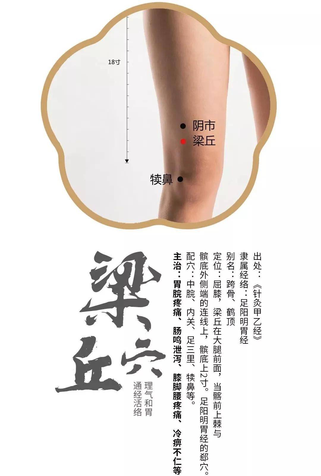 胃经梁丘穴,又称护胃穴,制酸护胃的穴位,治疗胃痛反酸的要穴_针刺