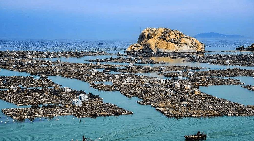 福建最低调的小岛:渔民靠这道海鲜发家致富,当地卖得十分白菜价_南日