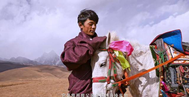 放牛娃丁真,成理塘旅游形象大使,亮相成都发挥"带货"能力_家乡_网友