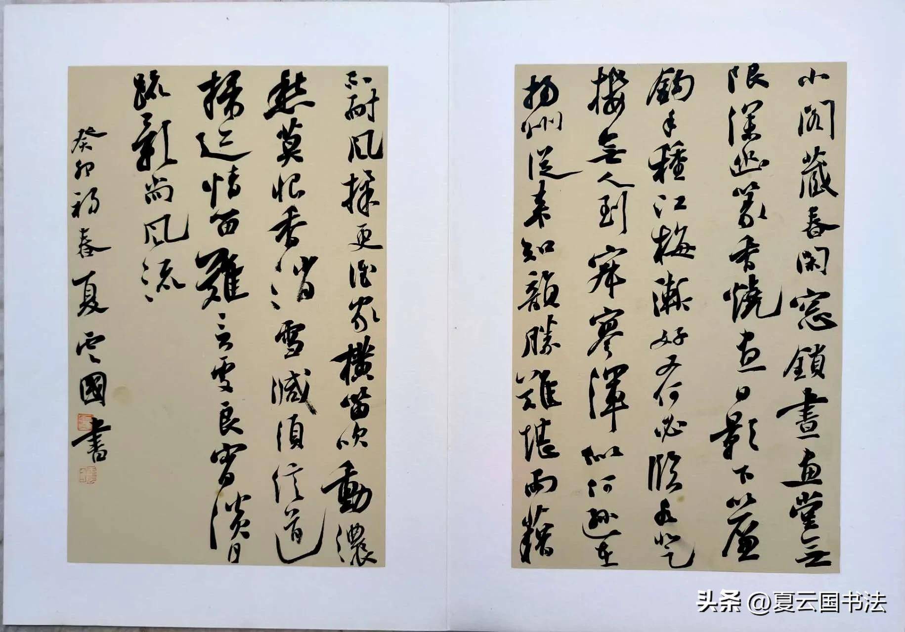 夏云国书法小品