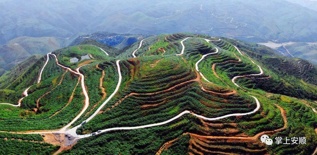 关岭自治县新铺镇:如何从"生态包袱"到"绿色财富" 的蝶变_发展_向华