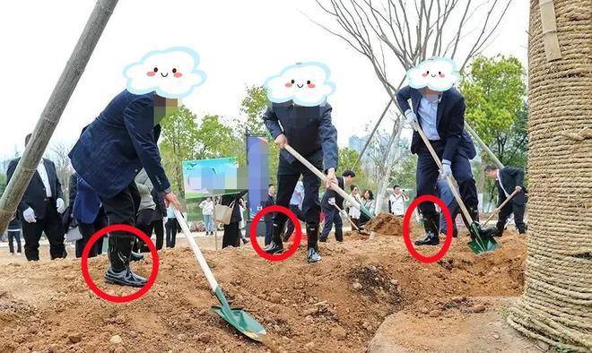 又见脚穿高筒雨鞋植树,领导这是咋了?_老百姓_情况_泥巴路