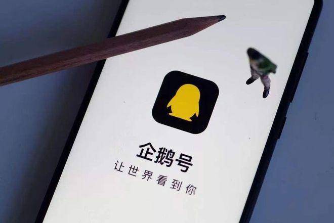 企鹅号是什么意思  第1张