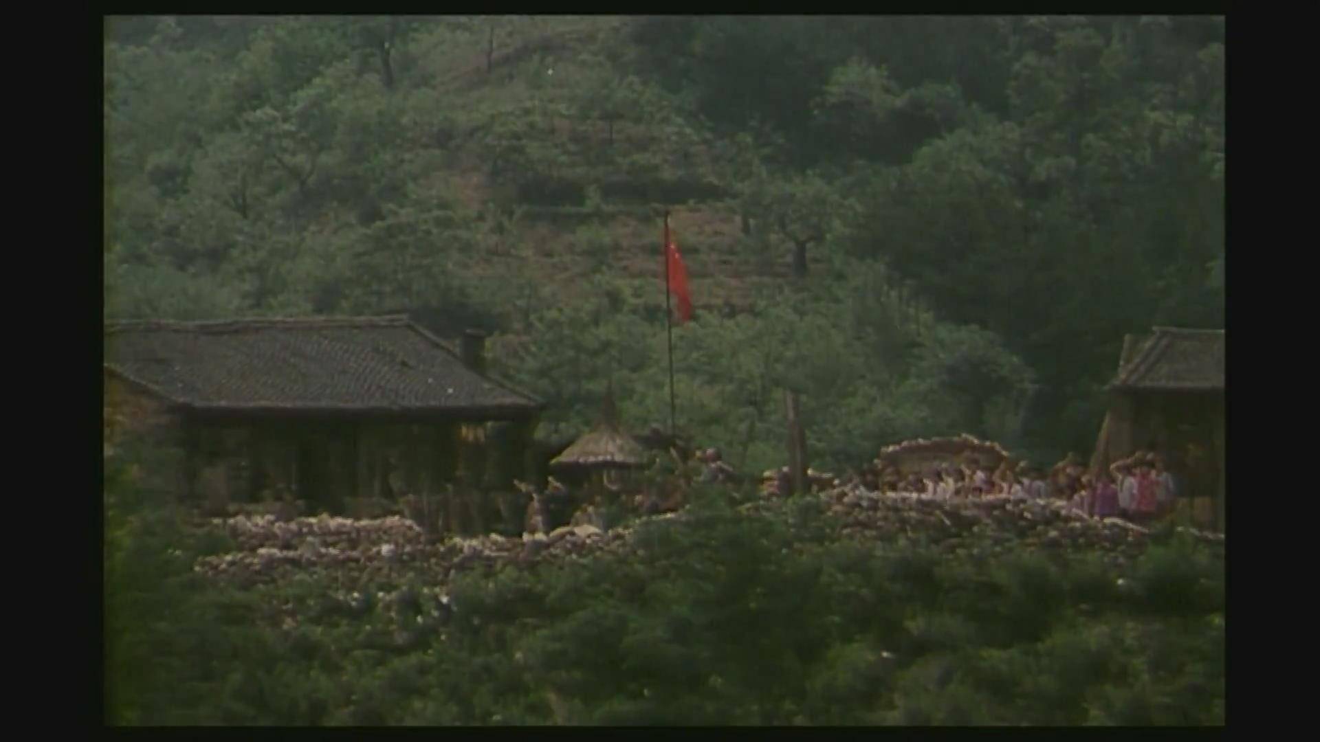 剧雪,王学圻等主演的老电影——《凤凰琴》,电影上映于1994年,主要