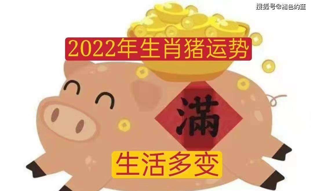 2023年十二生肖運勢寶典,旺運指南_方面_洛書_身體