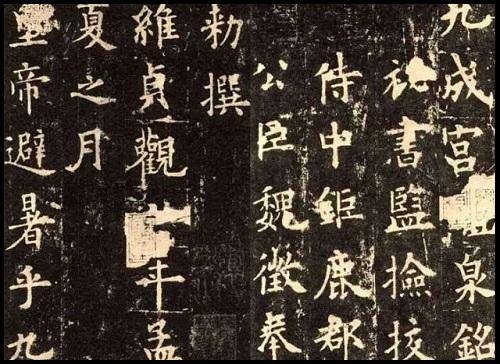 难以置信（关于生命的感悟）关于生命的感悟一段话100字 第2张