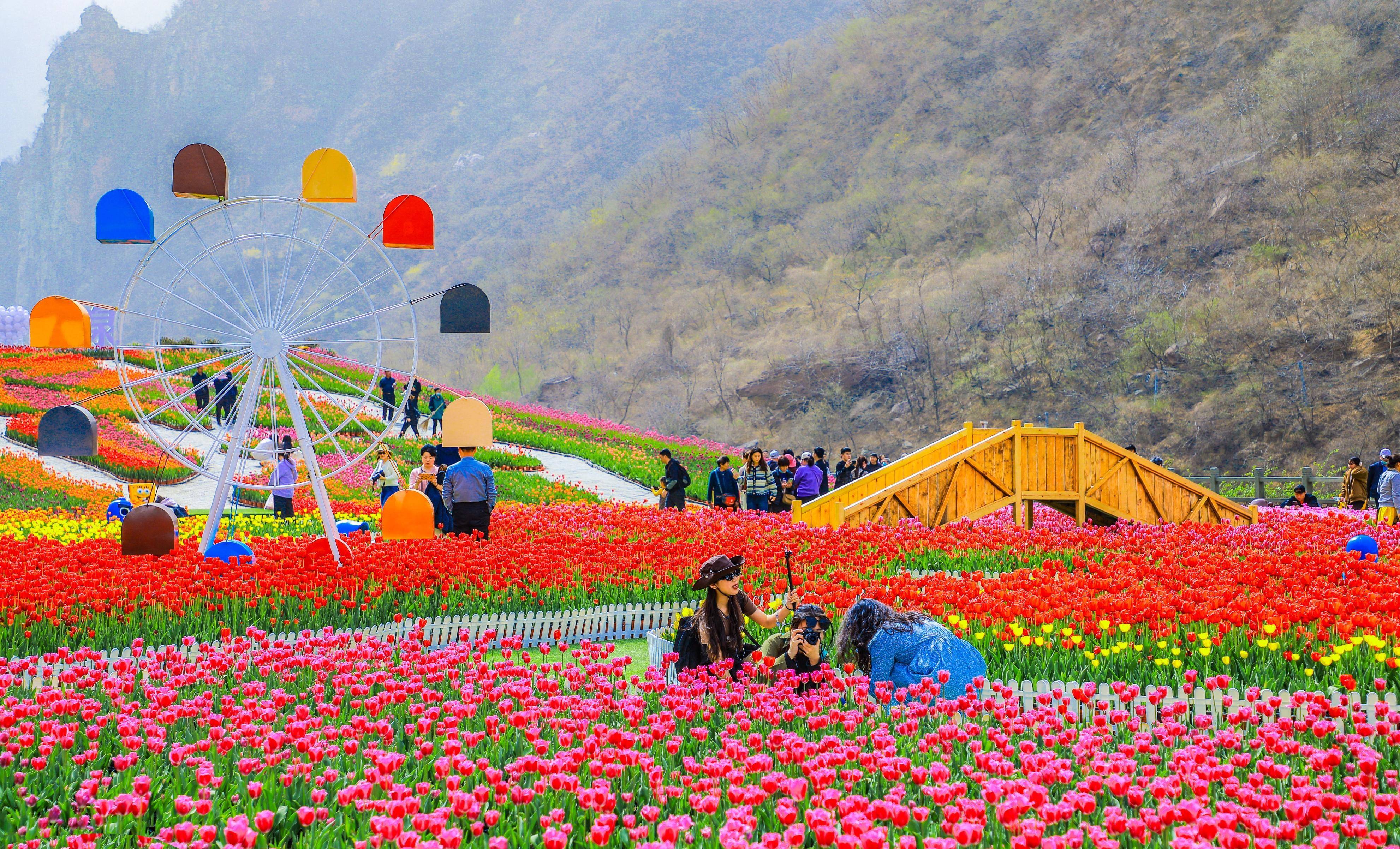 附近花海旅游景点图片