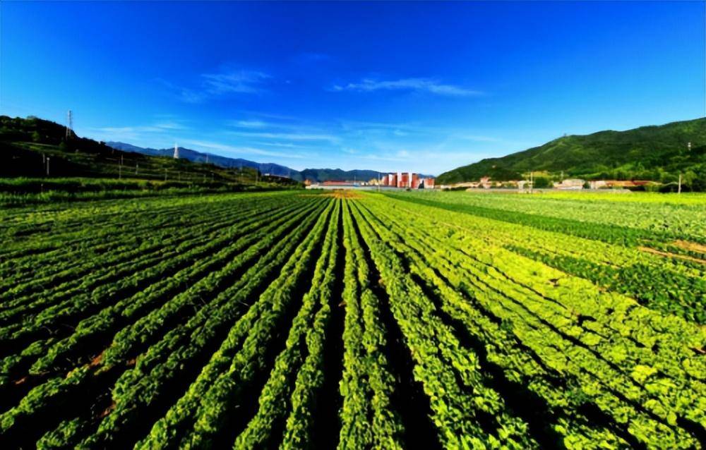 太白县咀头镇(高山蔬菜)获评第十二批全国一村一品示范村镇称号