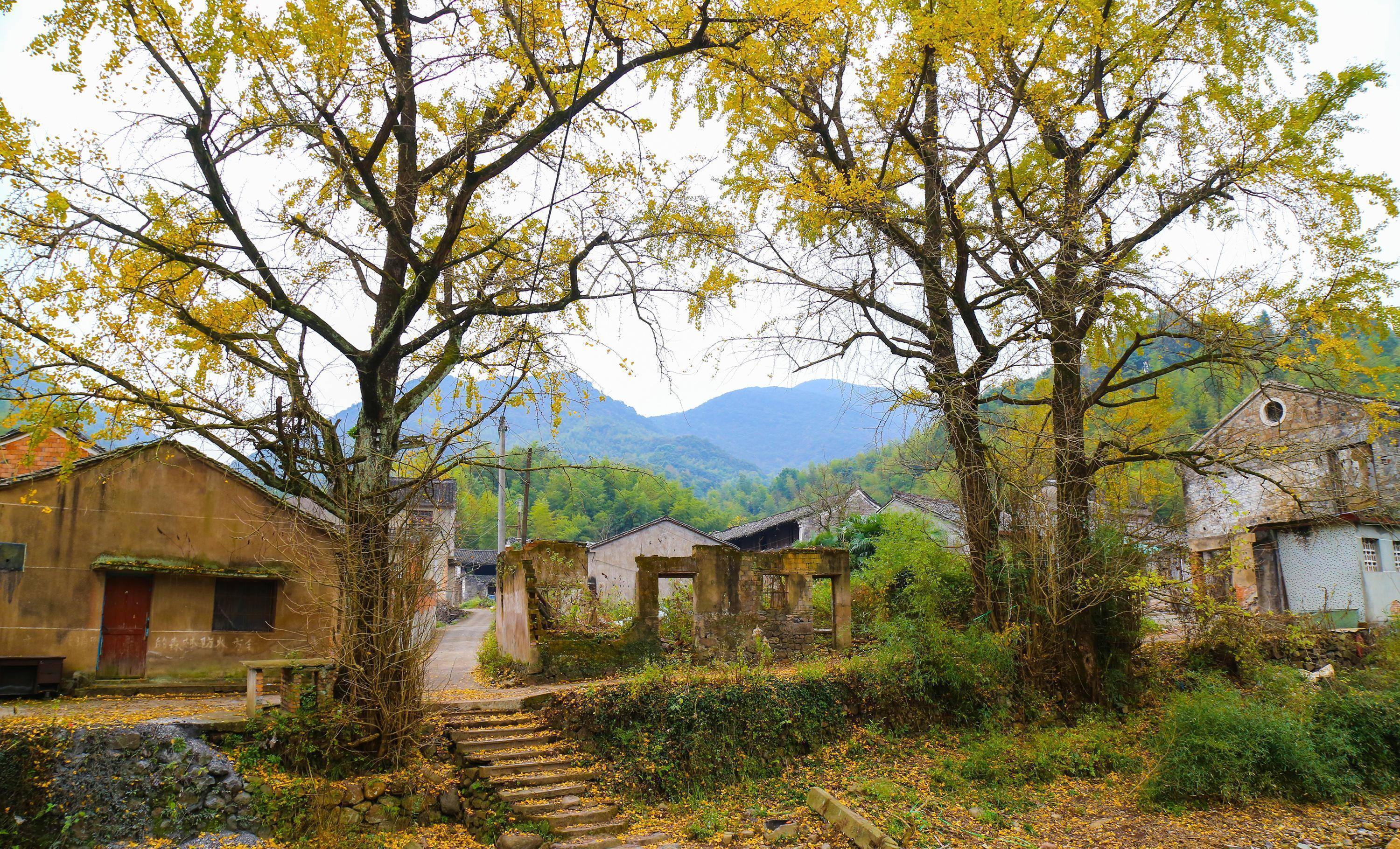 除了大竹海还有合亩小院,桃源书院