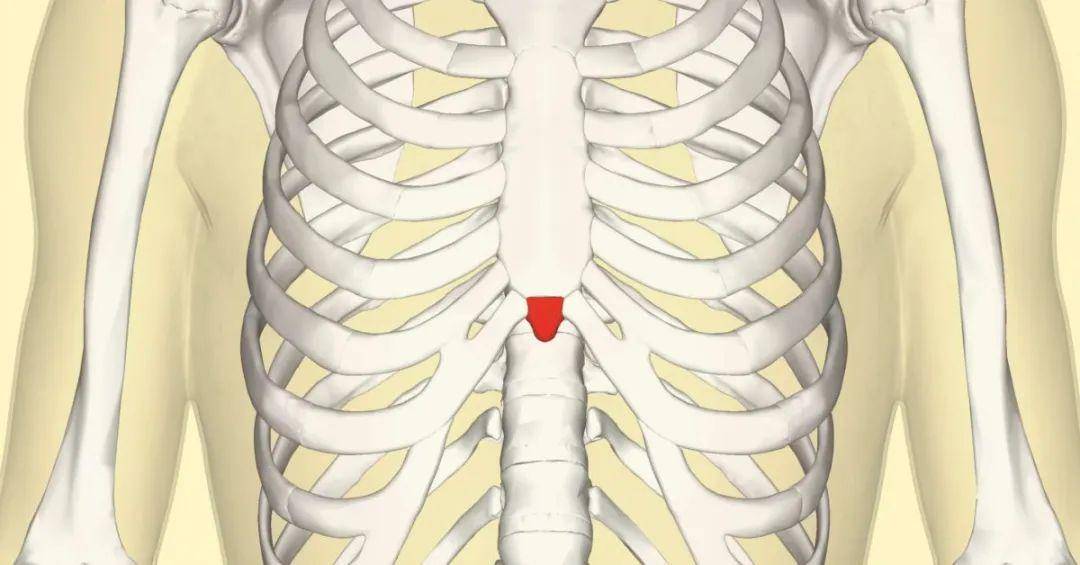 胃溃疡导致的疼痛多位于剑突下正中或偏左,多于餐后出现