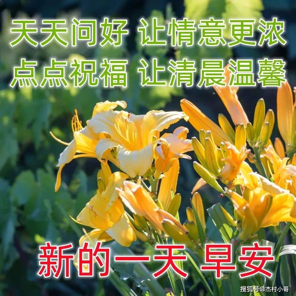 花图片大全大图（花图片大全大图简笔画） 第3张