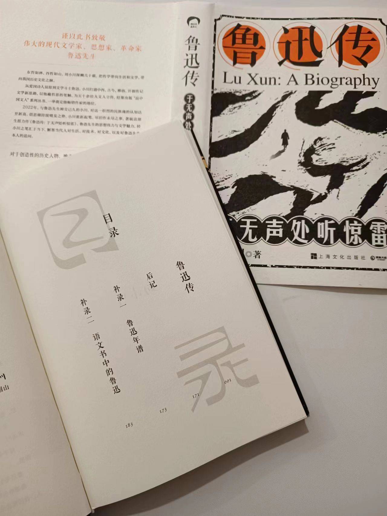 《鲁迅传》:于无声处听惊雷,于好书中碰撞思想~_哲思_先生_日本