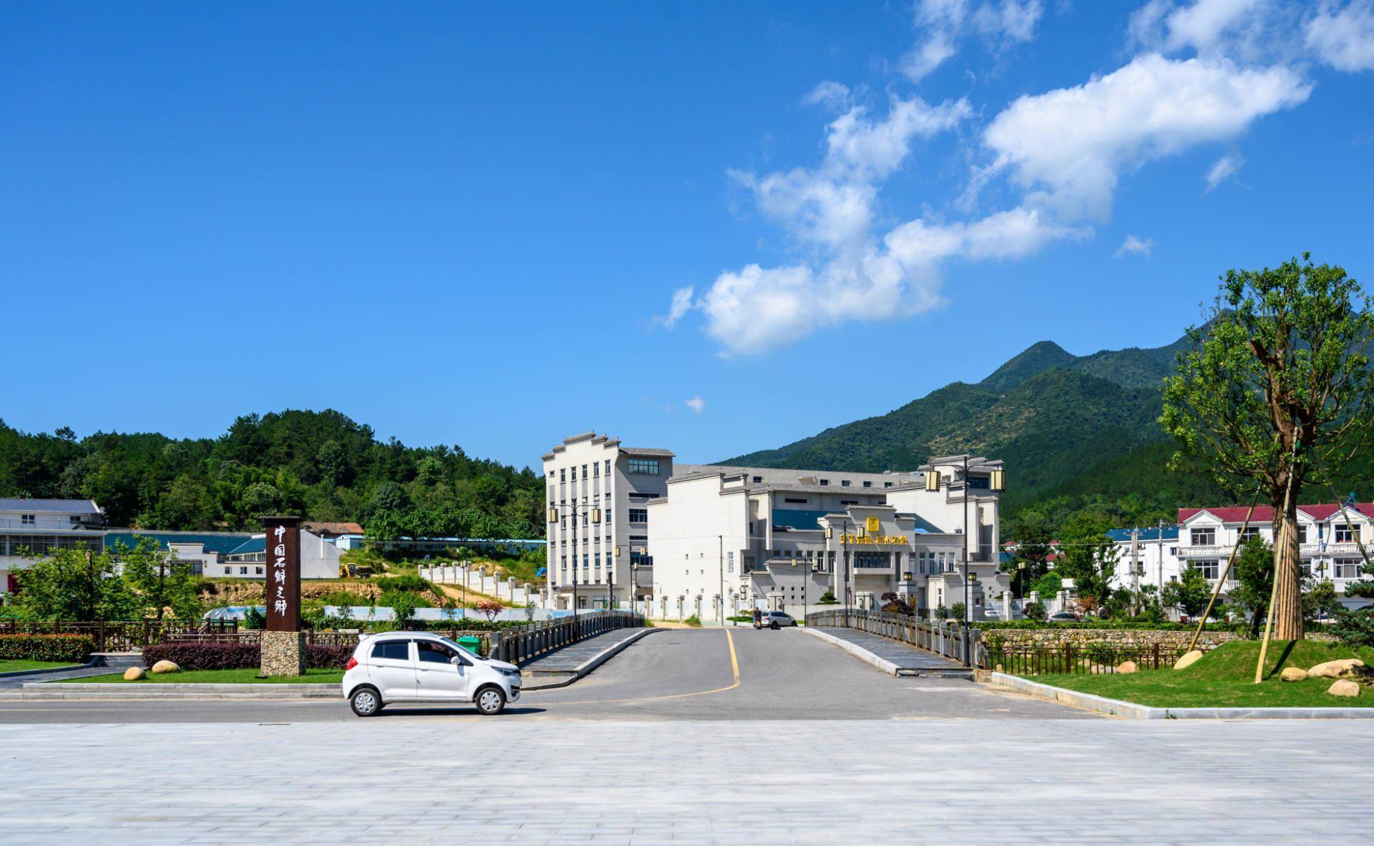 太平畈乡位于霍山县西南部.这里是霍山石斛的种源基地.