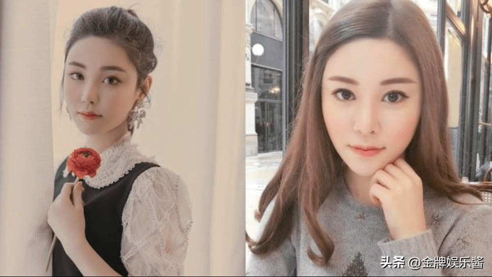 蔡天凤能嫁入豪门被曝是公公同意的,想利用女方帮自