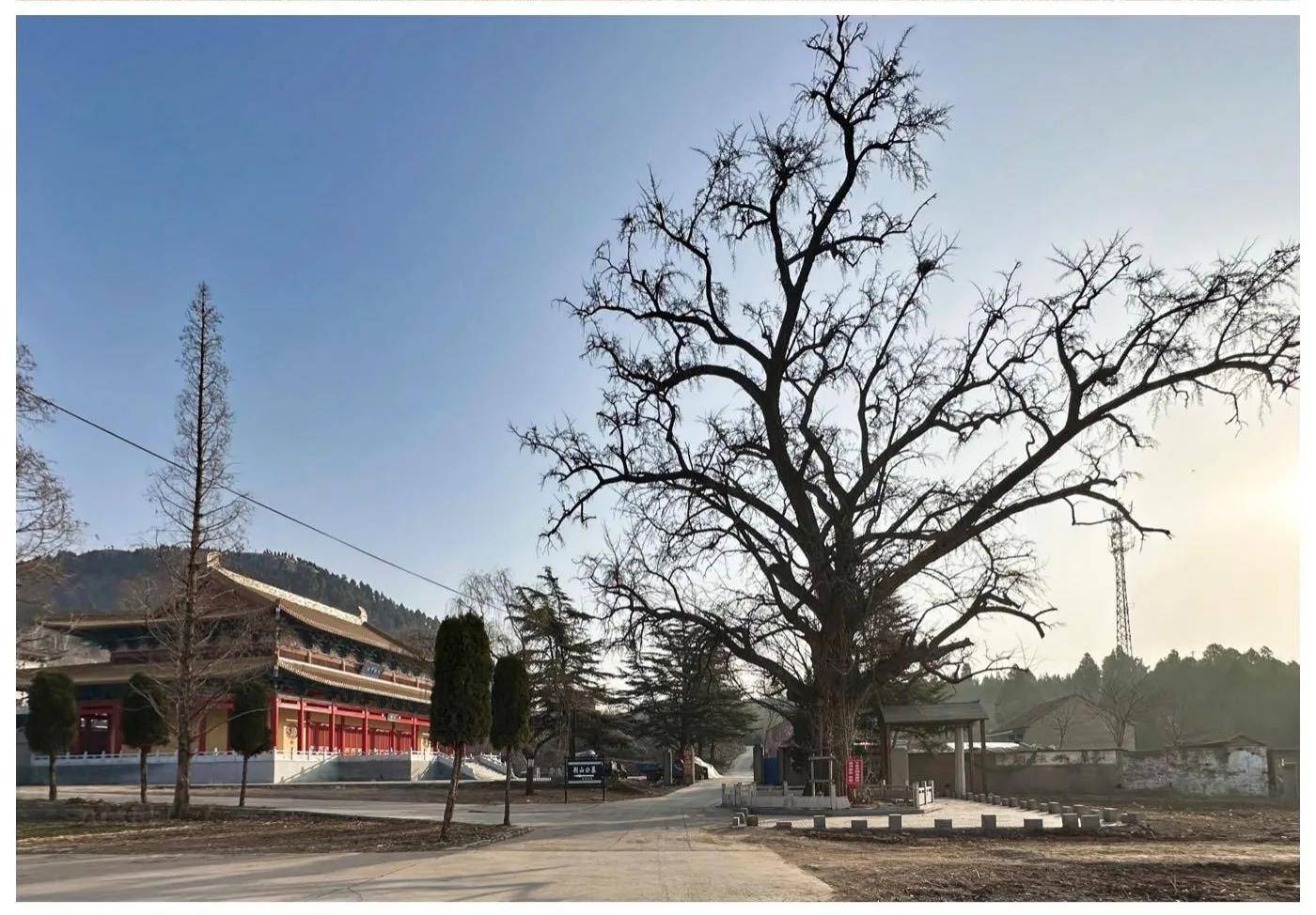 山东淄博沂源普安禅寺_寺院_大雄宝殿_造像