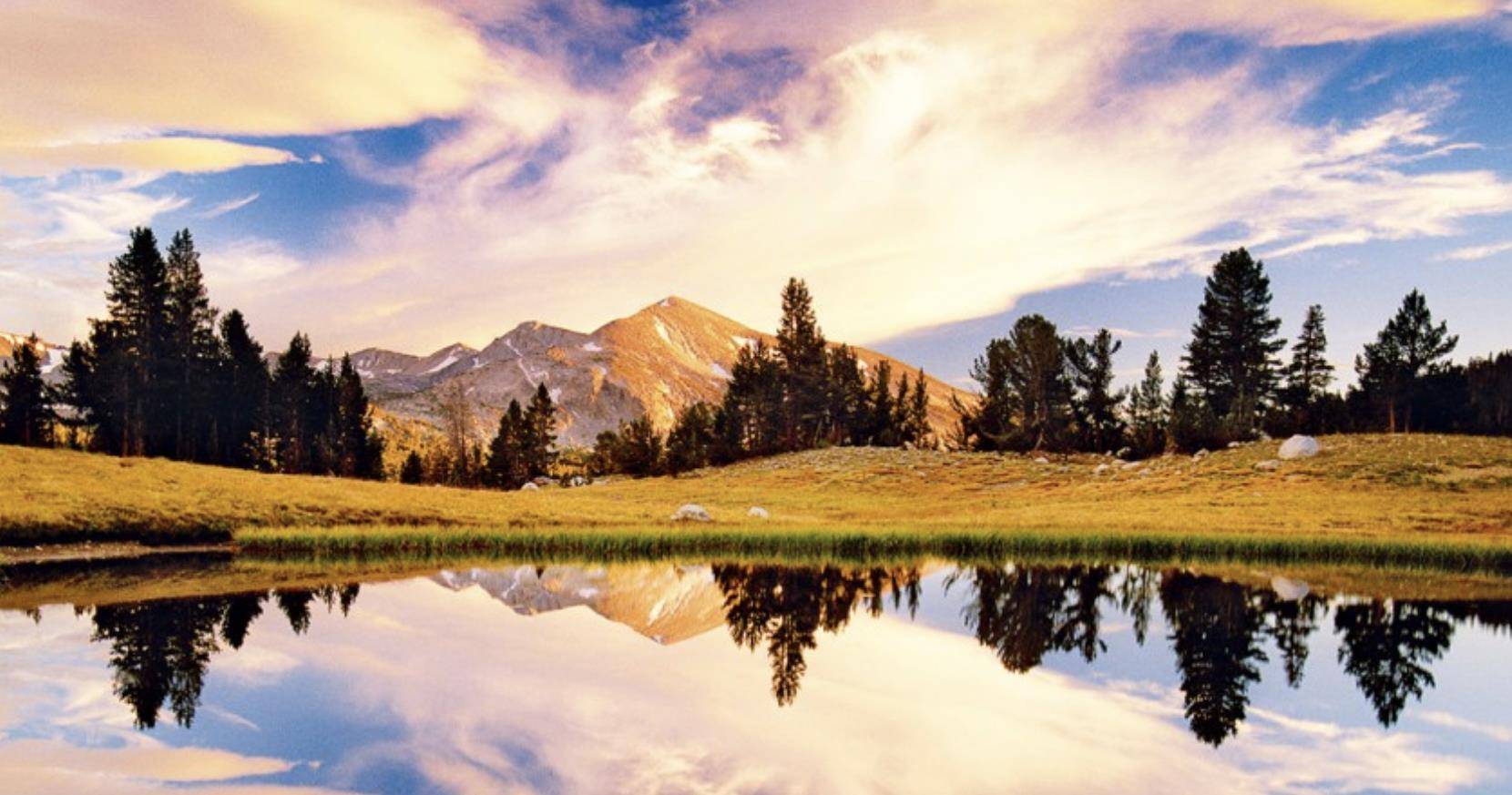 好,品行端正的星座,这些人重情重义,也追求正直和公正_生活_性格_事情