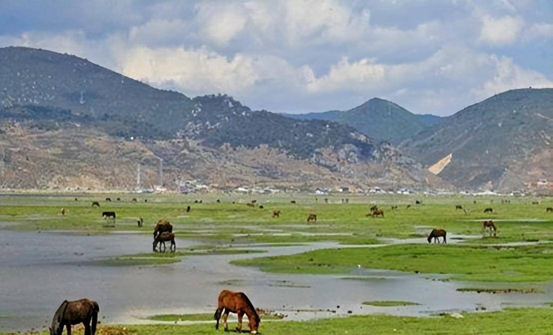 「战友美文」薛丽:《心中的香格里拉》(游记)_雪山_中甸县_碧塔海