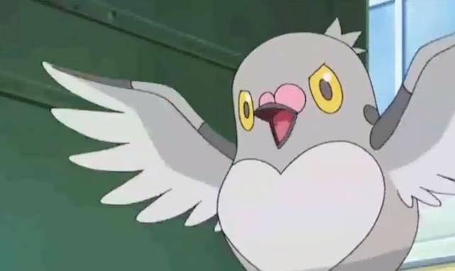 神奇宝贝:种族值最低的十种飞行系宝可梦,小智大部分都有_蜜蜂_豆豆鸽