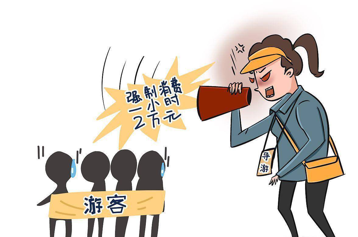 315全民季##游客购物少遭三亚导游威胁斥骂##三亚导游疑因游客未购物