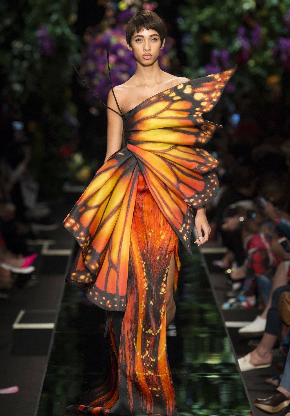 大自然是最好的设计师:五彩斑斓的蝴蝶给了服装设计师无尽的灵感_元素