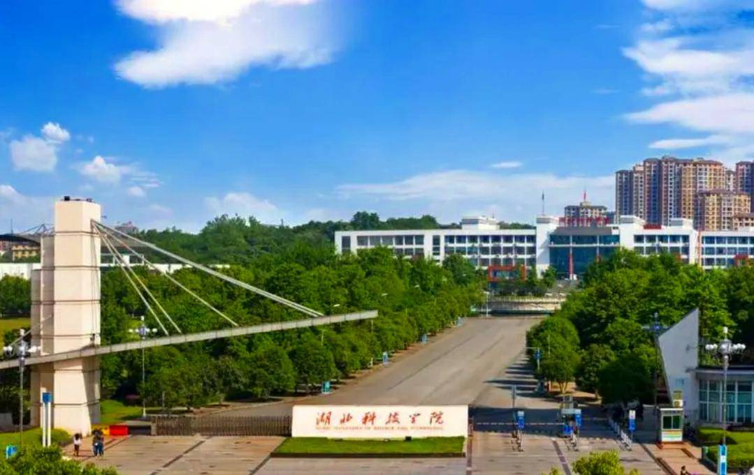 为何同样的出身的咸宁学院却没成咸宁大学