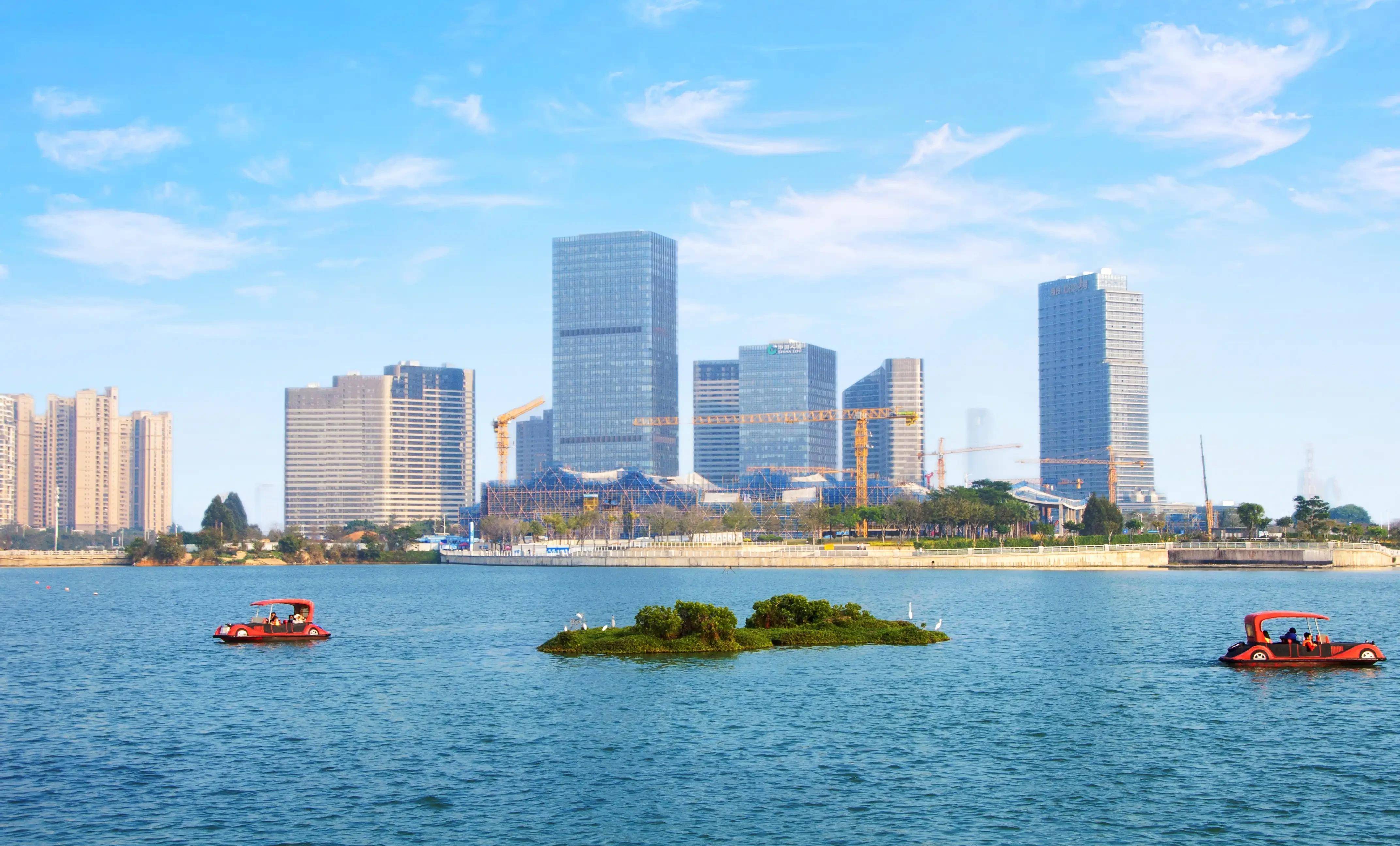 立春啦,厦门海沧湾的鞭炮花开了,这个周末安排起来吧_公园_配套_市民