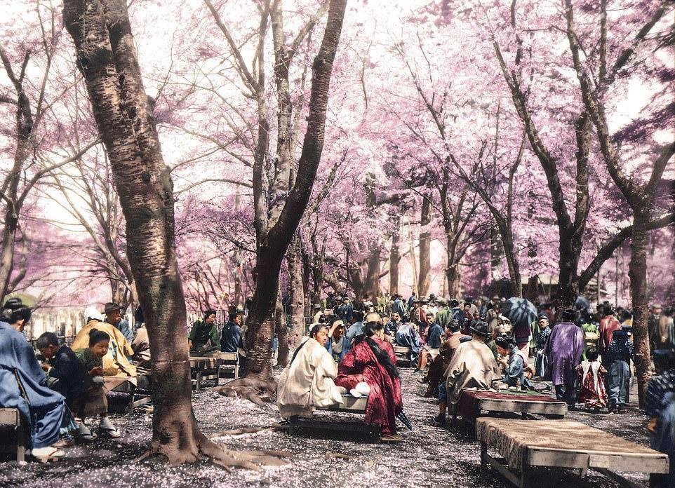 “日本”罕见上色老照片：图3是200年前的日本武士，为什么叫小日本是有原因的
