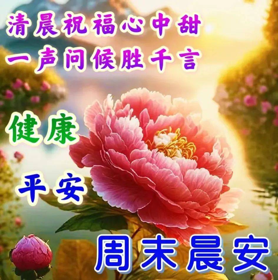 周末愉快问候祝福动画表情包大全