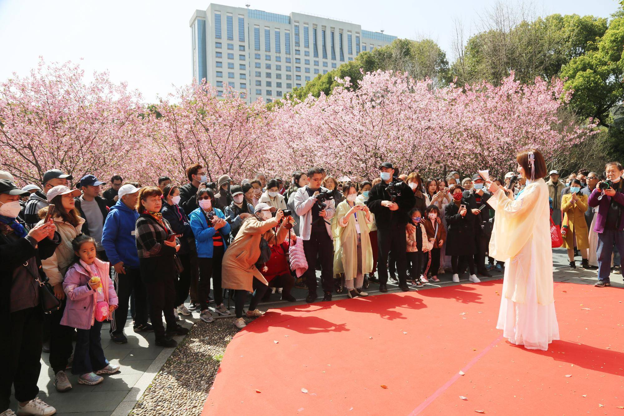 人民公园"繁花似锦" 海棠文化节遇见了你_游园会_活动_植物